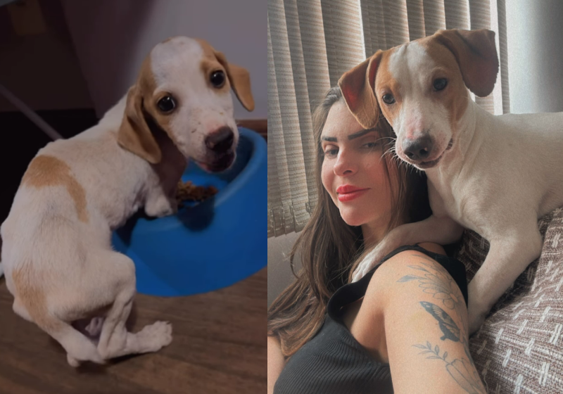 Aryane, a mulher que adotou o cachorro magrinho, largado nas ruas de Brasília, transformou o Tunico em outro animal. - Foto: reprodução Instagram