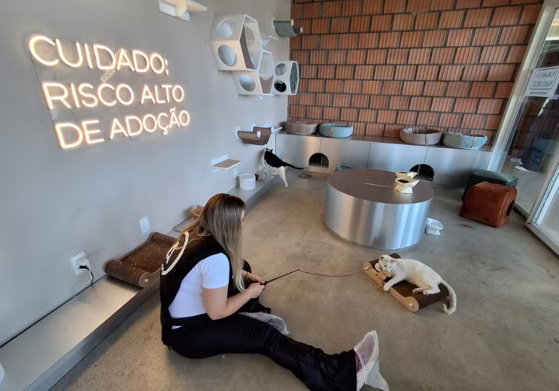 Primeiro centro de adoção permanente do Brasil é inaugurado em SP; café com cães e gatos