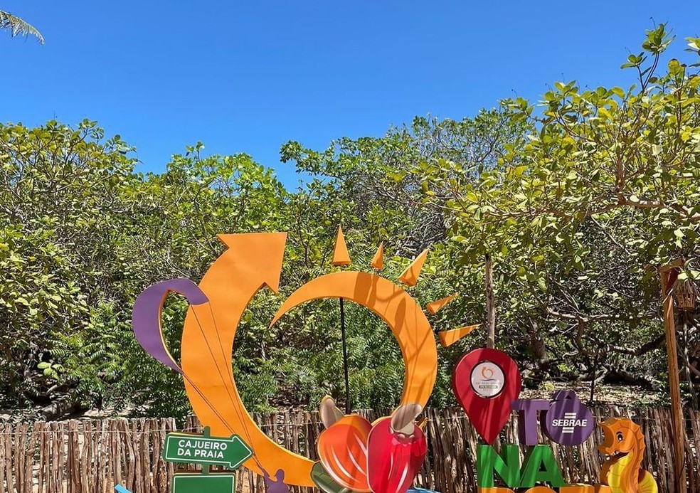 Cajueiro-Rei, em Cajueiro da Praia — Foto: Divulgação/Prefeitura de Cajueiro da Praia