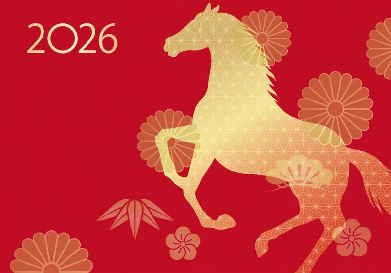 As Previsões mostram que 2026 será regido por Marte. Ano do Cavalo de Fogo e da cor vermelha. O 1 será e o número do ano novo, do novo ciclo. - Foto: reprodução/Personare