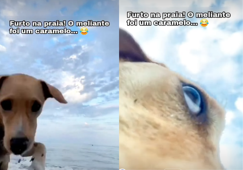 O caramelo furtou o celular de uma turista e saiu correndo. O vídeo viraliizou - Foto: redes sociais