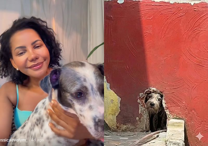 A empresária Jessica Evelym adotou a Lady Safira. - Fotos: reprodução/Tiktok