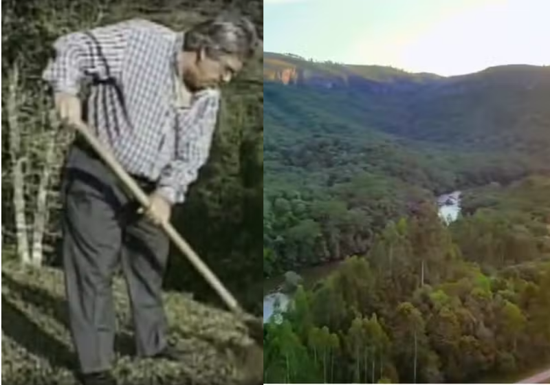 Izidro é um empresário brasileiro que dedicou os últimos 30 anos a plantar árvores em risco de extinção - Foto: Foto: Arquivo RPC - Reprodução/Redes Sociais