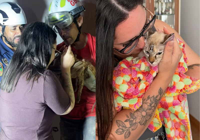 Após 40 horas, bombeiros conseguiram resgatar uma gatinha que ficou presa em um cano. - Foto: redes sociais