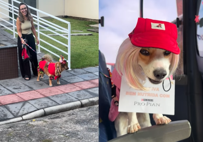 O BloCão 2026 misturou uma ação importante com muita fofura. E o vídeo viralizou - foto: redes sociais