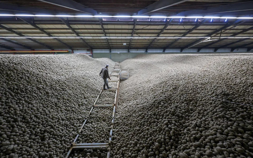 Armazém perto de Leipzig, que guarda parte das batatas excedentes. - Foto: Jan Woitas/DPA/Alamy