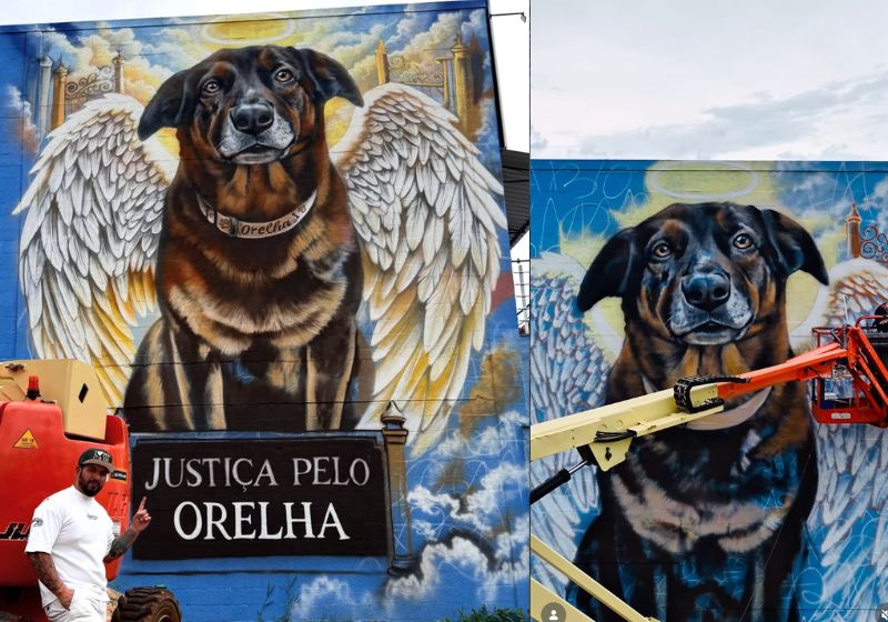 O artista Fábio Gomes Trindade precisou usar um guindaste para fazer a pintura gigante do cão Orelha. A arte pede justiça. - Fotos: reprodução/Instagram