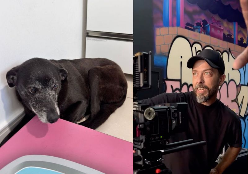 O empresário paulista Bruno Ducatti adotou oficialmente a cachorra Pretinha, amiga do Orelha, e está bancando o tratamento dela. - Fotos: reprodução/Redes Sociais