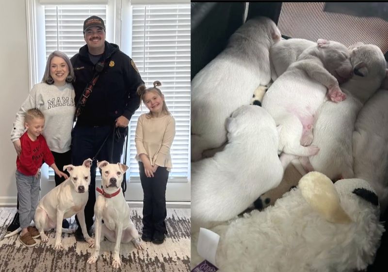 O bombeiro John Isaac salvou a ninhada de cachorrinhos que ficaram órfãos no incêndio em uma casa e acabou adotando dois deles na Geórgia, nos EUA. - Fotos: arquivo pessoal