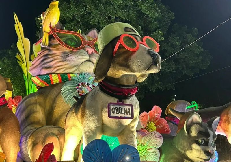 A Mocidade fez a homenagem ao cão Orelha porque o enredo da escola falou este ano de Rita Lee e a cantora era defensora da causa animal. - Foto: Giovanna Fraguito/Veja