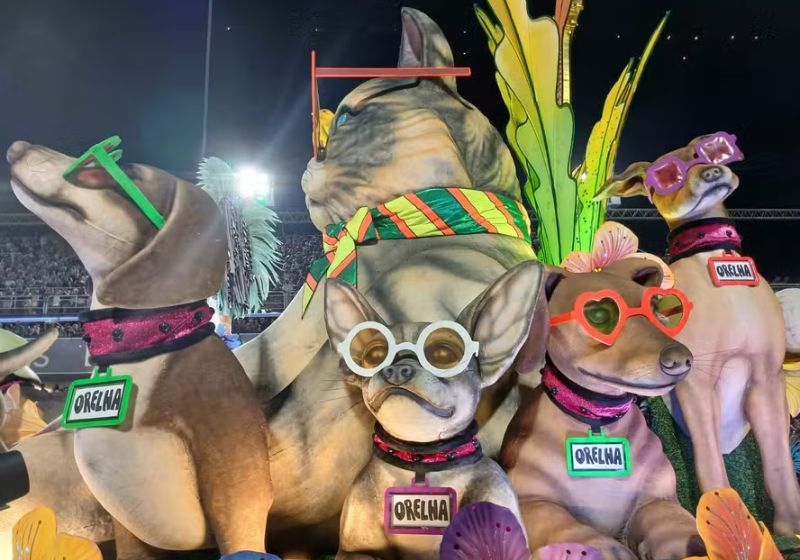 A Mocidade fez a homenagem ao cão Orelha porque o enredo da escola falou este ano de Rita Lee e a cantora era defensora da causa animal. - Foto: Rafael Galdo