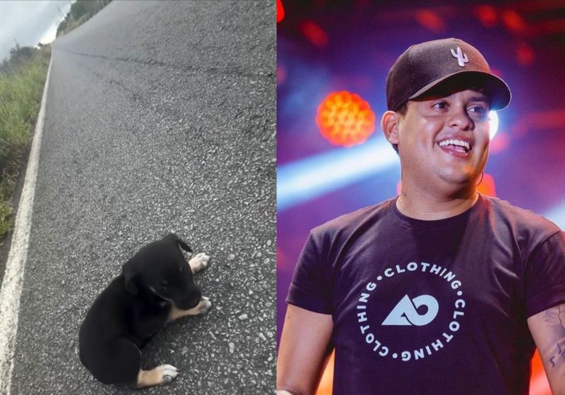 O cantor Thiago Aquino resgatou e adotou o filhote de cachorro abandonado na estrada na Bahia. A filhinha dele deu o nome de Lojinha ao cãozinho. - Fotos: repropdução/ Instagram