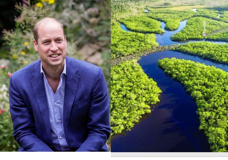 O recurso que o Príncipe William mandou para reflorestamento da floresta Amazônica foi para empresa Re.green, vencedora do Earthshot Prize 2025. - Fotos: reprodução/Instagram/ararquivo