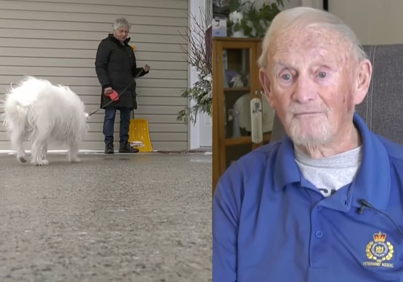 A cachorra Rosa ouve os gritos de socorro do vizinho idoso, late de forma diferente e a tutora dela encontra seu Mickey, de 89 anos, caído no chão, no Canadá. - Fotos: reprodução/CTVNews