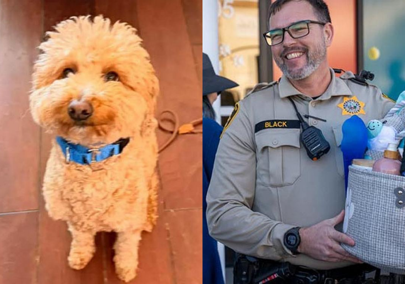 Após ser deixado no aeroporto pela tutora, o cachorrinho foi adotado pelo policial que o resgatou - Foto: redes sociais