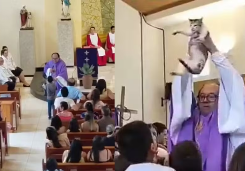 A criança correu pela igreja com o gatinho nos braços e pediu para o padre abençoar. O vídeo viralizou - Foto: redes sociais