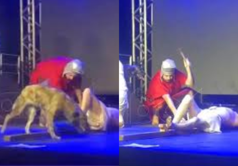 O caramelo subiu ao palco e quis defender Jesus durante a crucificação - Foto: redes sociais