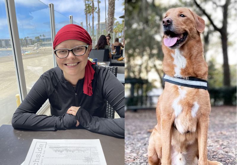 Com o fucinho, o cachorro Ceto avisou à tutora Chase que ela estava com câncer de mama. Ele fez o mesmo com o marido dela em 2021 nos EUA. - Fotos: Chase Johnson/Cleveland Clinic/SWNS