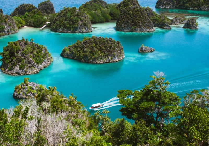 A pesquisa pesquisa Ipsos sobre os países mais felizes do mundo coloca a Indonésia em primeiro lugar. O Brasil aparece em 7º. - Foto: kp yamu Jayanath/Pixabay