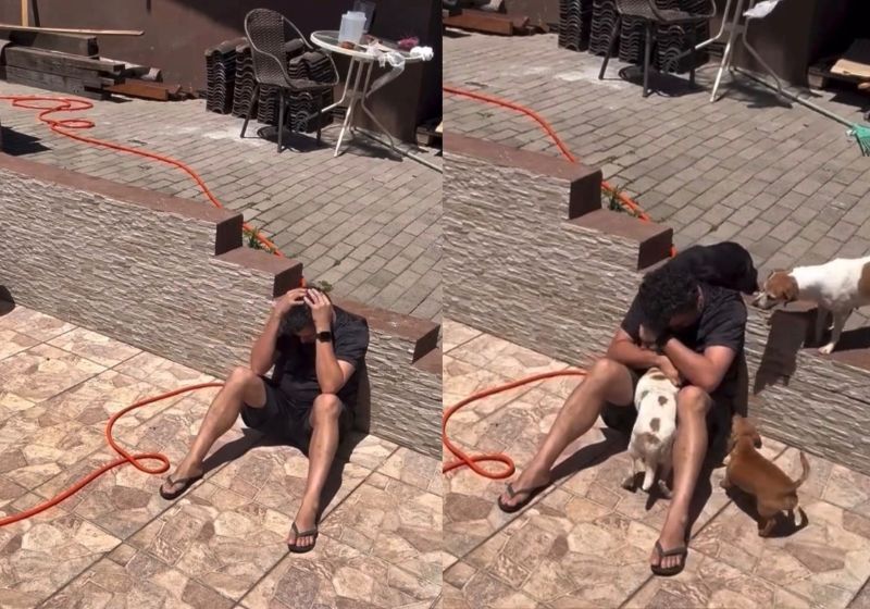 Os 4 cachorros correram para dar apoio emocional durante a crise ansiedade do Márcio, um protetor de animais do RS. Câmera de segurança gravou o momento. Fotos: reprodução/ Instagram/@protetormarciors