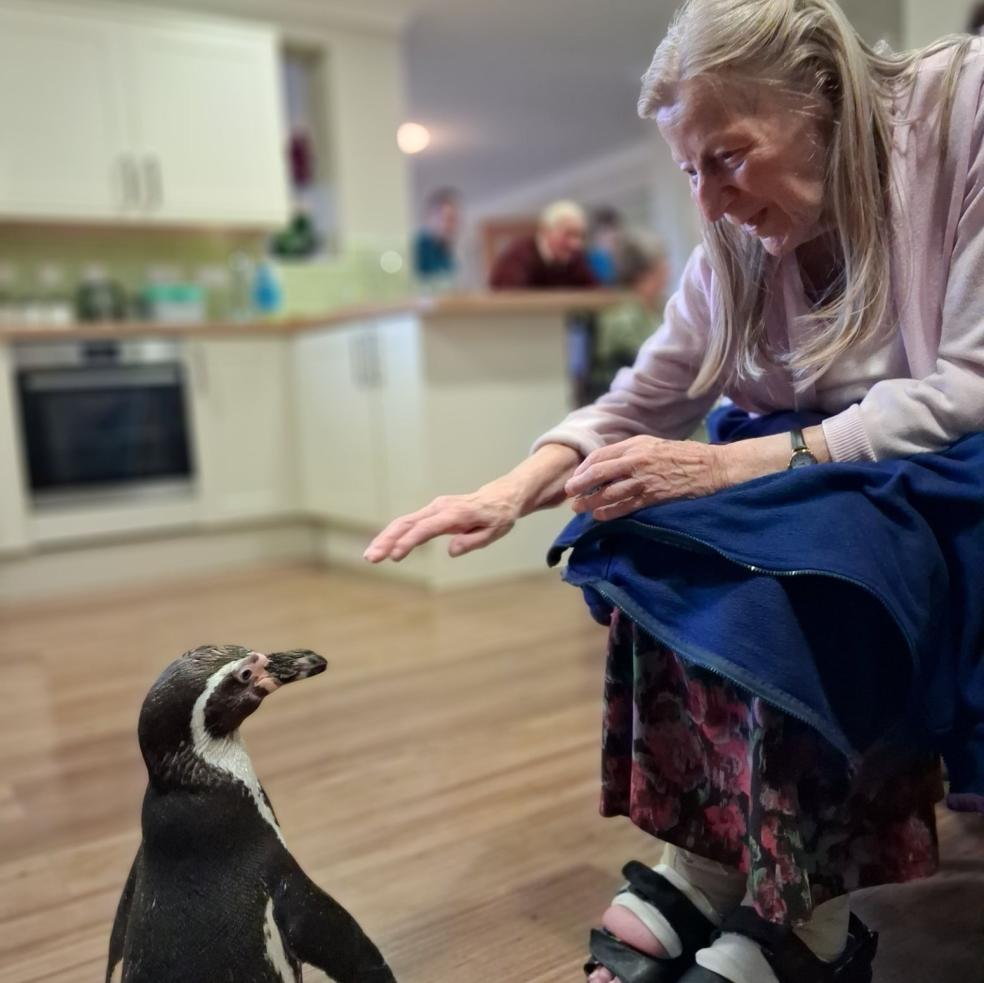 A dona Pat disse: "Já faz anos que não vejo nada assim, foi lindo, me emocionou". Foto: The Lakes Care Centre, Cirences / SWNS