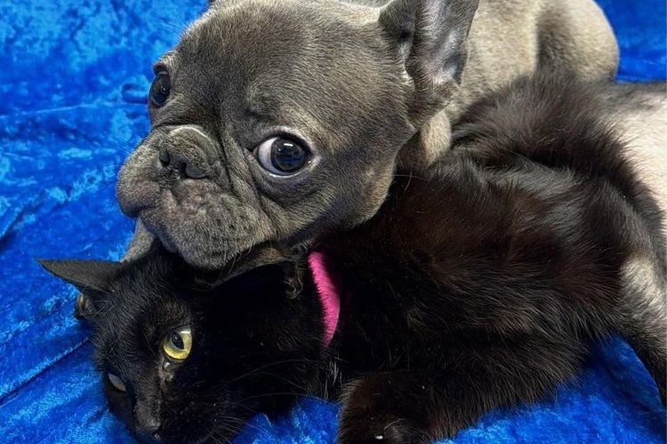 Olha que amor as duas! - Foto: reprodução/Facebook