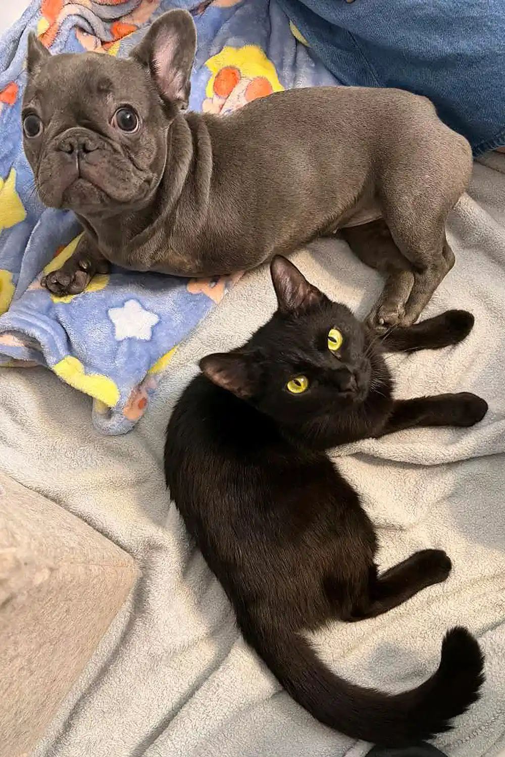 As amigas insperáveis se adoram. - reprodução Facebook