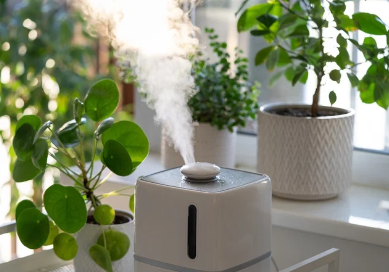 Existem algumas formas práticas e baratas e limpar o ar da sua casa e você pode estar deixando isso passar despercebido. Veja as dicas - Foto: Canva