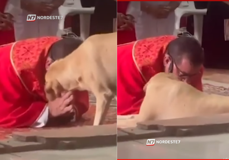 O caramelo chegou de mansinho, deitou perto do padre e a cena fofa viralizou nas redes sociais - Foto: redes sociais