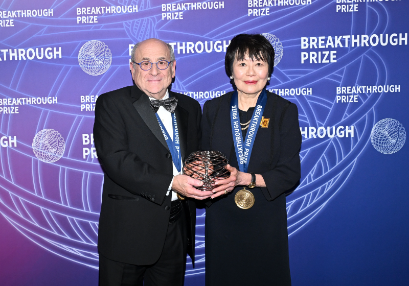 Os cientistas desenvolveram um tratamento para a anemia falciforme que altera o gene e cura a doença - Foto: divulgação