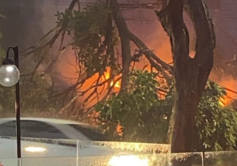 O carro foi atingido pela árvore nesta quarta, 8, na Região Centro-Sul de Belo Horizonte e a rede elétrica pegou fogo. Ninguém se feriu. - Foto: Renata Galdino/EM/D.A.Press