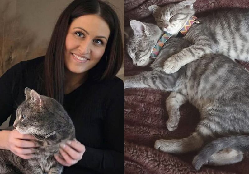 Danielle conseguiu encontrar o gatinho desaparecido há 5 anos graças a um post antigo que fez no Facebook e uma senhora viu agora na Inglaterra. - Fotos: Danielle Arme / SWNS