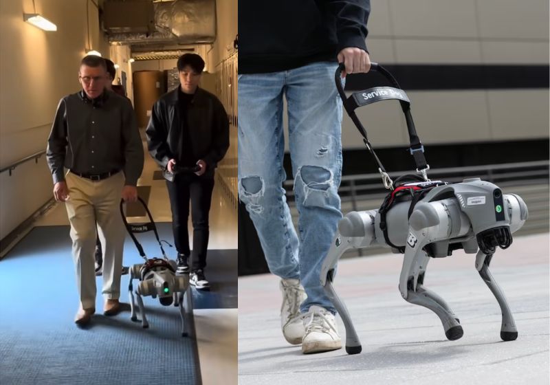 O cão-guia robô, que fala com cegos, traça trajetos e avisa sobre obstáculos, foi criado por cientistas de universidades dos EUA. - Fotos: Universidade de Binghamton/Jonathan W. Cohen