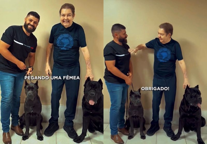 O apresentador Faustão apareceu de pé, sem cadeira de rodas, ao ganhar um cachorro de uma raça italiana de um criador especializado. Fotos: reprodução/ Instagram/ @marquescanecorsoo
