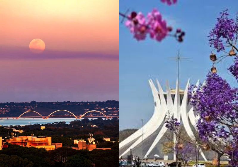 Brasília, Capital Federal, completa 66 anos nesta quinta, 21, uma cidade que além dos políticos, que tem flores e cores diferentes o ano todo. Fotos: reprodução/ Instagram/ @freddanin