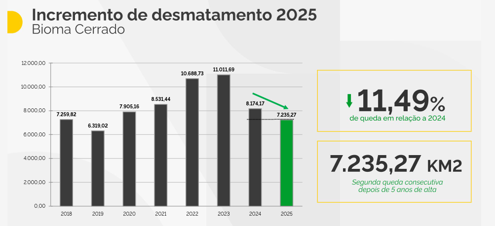 Gráfico do Ibama mostra queda no desmatamento  - Foto:   Ibama