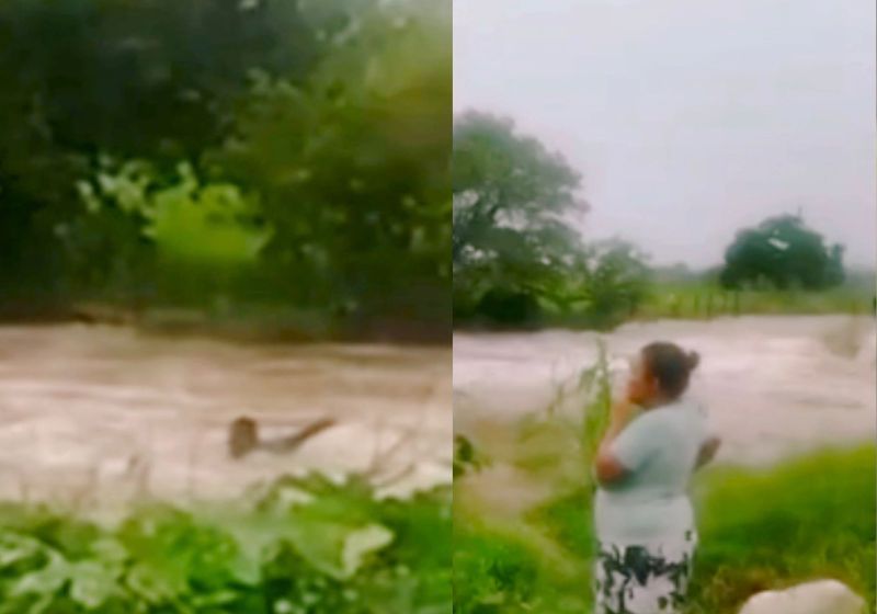 A prefeitura confirmou que o herói que pulou no rio conseguiu salvar a mulher que estava sendo levada pela correnteza em Passira (PE). - Fotos: reprodução/g1