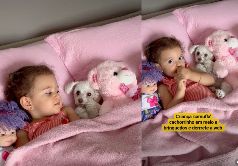 A Candy se comportou como uma verdadeira cachorrinha atriz, fingindo ser um bichinho de pelúcia, na cama com uma menina. O vídeo fofo viralizou - Fotos: reprodução / Instagram / @leh_paivajaquetto / @myhoodbr