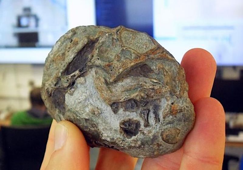 A descoberta de que ancestrais mamíferos extintos punham ovos foi publicada na PLoS ONE. Imagem do fóssil de ovo achado. Foto: ESRF/ Professor Julien Benoit.