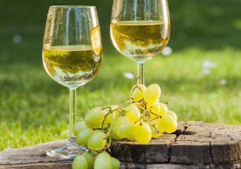 Vinhos Chardonnay brasileiros conquistaram 3 medalhas de ouro e 4 de prata na 33ª edição do Chardonnay du Monde, em Borgonha, na França. - Foto: Milium