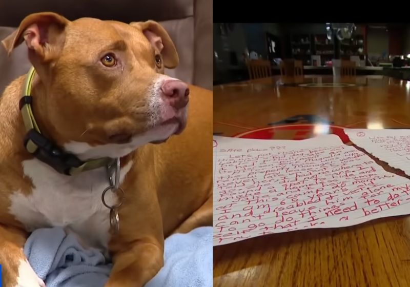 Seu Tom, um idoso com deficiência, deixou uma carta pedindo aos bombeiros para cuidarem do Jake, o cachorro dele e acabou ganhando uma casa. - Fotos: reprodução/ CBS Texas
