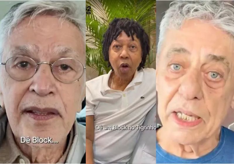 Entre os artistas que abraçaram a campanha "Dê um block no Tigrinho" estão Caetano Veloso, Djavan, Chico Buarque e Emicida. - Fotos: reprodução/ Instagram/ @blocknotigrinho