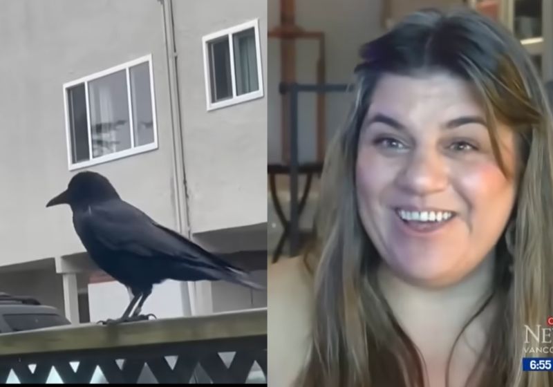 Leah é a mulher que salvou um pássaro ferido e depois disso a ave aparece todo dia para levar presentes para ela, em Vancouver, no Canadá. - Fotos: reprodução / CTVNewsCA