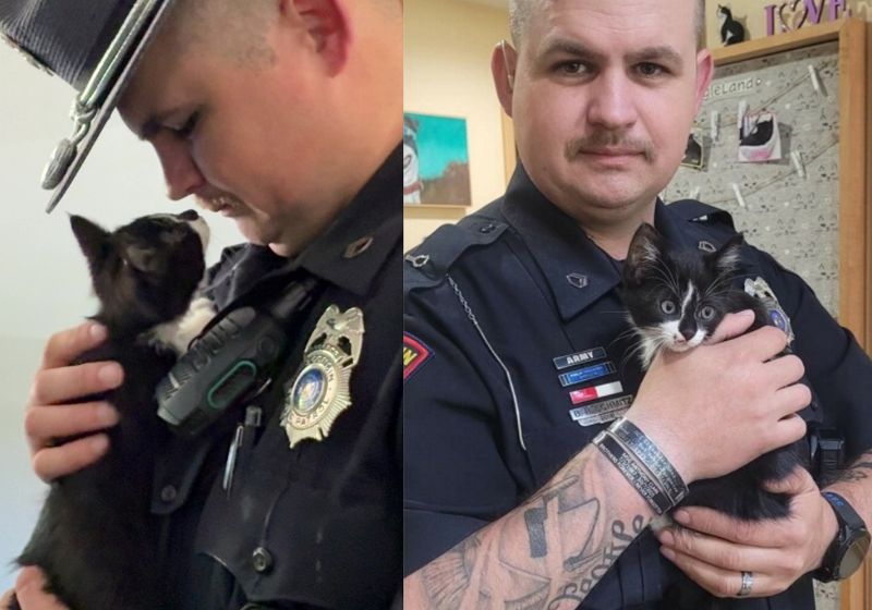 O policial Brody encontrou o gatinho frajola jogado do carro em movimento na estrada e adotou o bichinho, nos EUA. - Fotos: Wisconsin State Patrol﻿ / Facebook