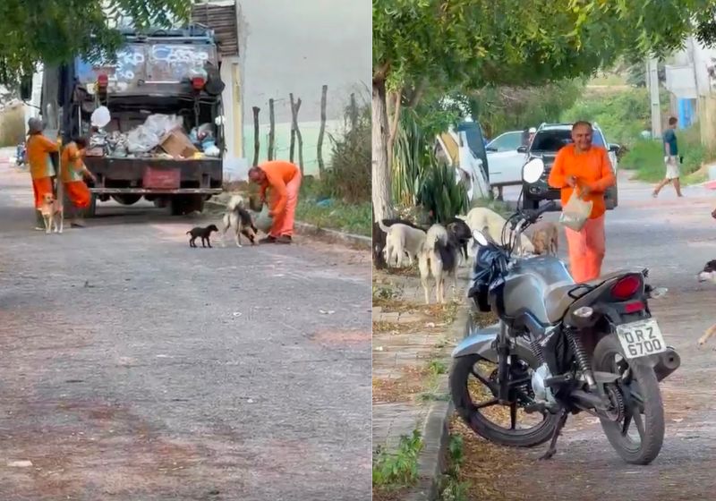 Um comerciante flagou o momento em que o coletor de lixo desce do caminhão e leva ração cachorros abandonados nas ruas de Tianguá (CE). - Fotos: reprodução/ Instagram / @alysson_silvs