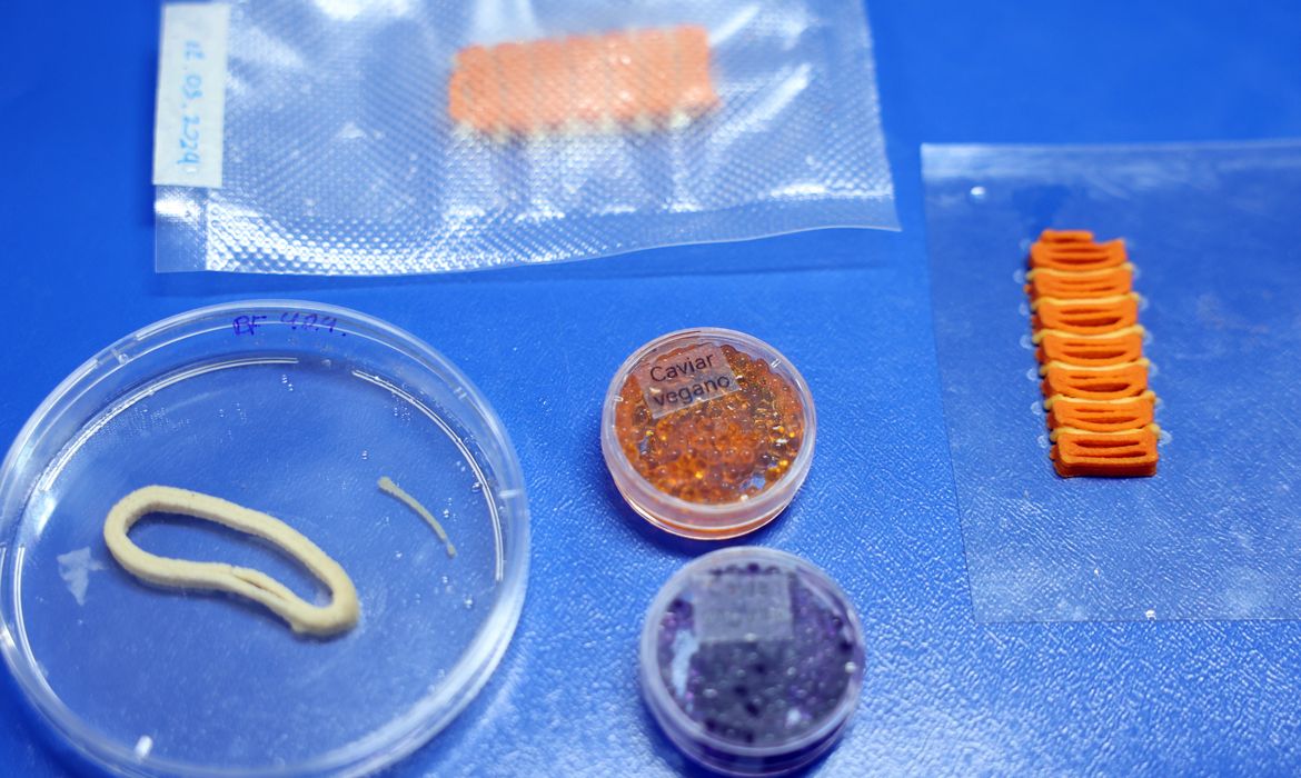 A Embrapa também produz em laboratório salmão, caviar e anéis de lula veganos. - Foto: Valter Campanato/ Agência Brasil