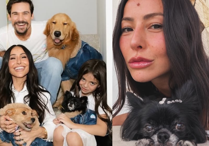 Sabrina Sato vai apresentar novo reality que ajuda na adoção de cães resgatados para encontrarem novas famílias. O Dog House Brasil será no GNT. - Fotos: reprodução/GNT