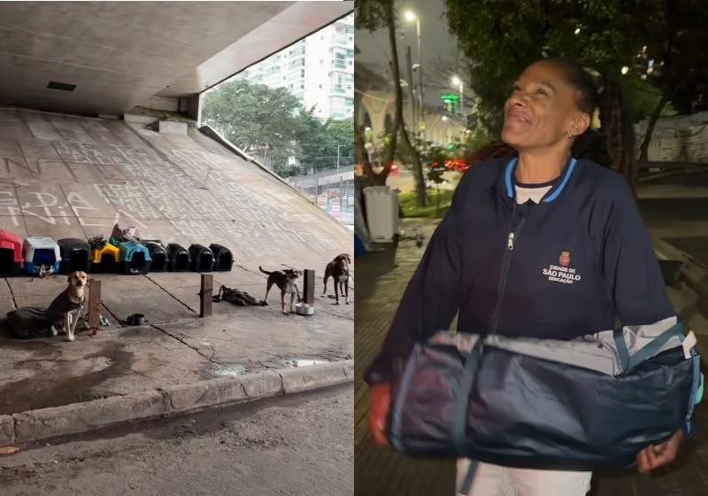 Mônica, a mulher que cuida de 10 cachorros na rua, ganhou uma corrente de solidariedade depois que a história dela viralizou, graças a um post no perfil @sashalatinha. - Fotos: Reprodução/Instagram/ @sashalatinha