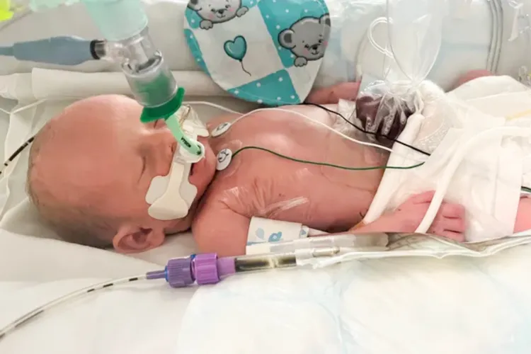 Uma vaquinha do GoFundMe levanta fundos para ajudar a família. - Foto: GoFundMe