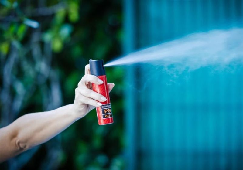 Agora, para entrar em vigor, a compra e venda do spray de pimenta para autoproteção de mulheres precisa da sanção do presidente Lula. - Foto: Bruno Collaço/Agência Alesc